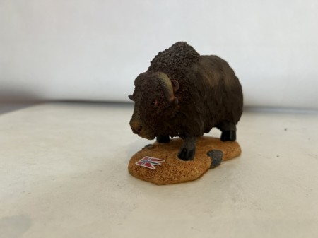 Musk ox